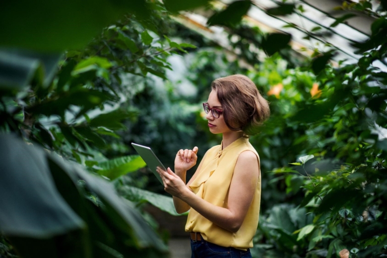 Image description not found for The ESG Impact on Audit Firms: An Interview with Polly Lok